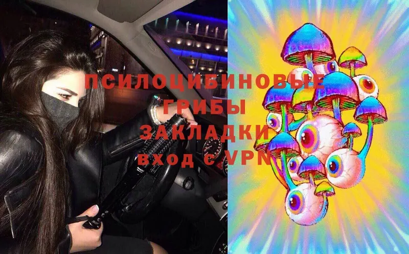 Псилоцибиновые грибы Cubensis  закладки  Жуков 